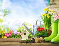 Home & Garden